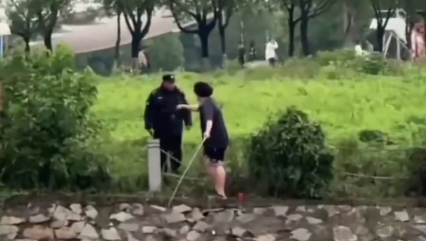 沃门马会传真,王一珩直播,广泛的解释落实支持计划_云端版V8.36
