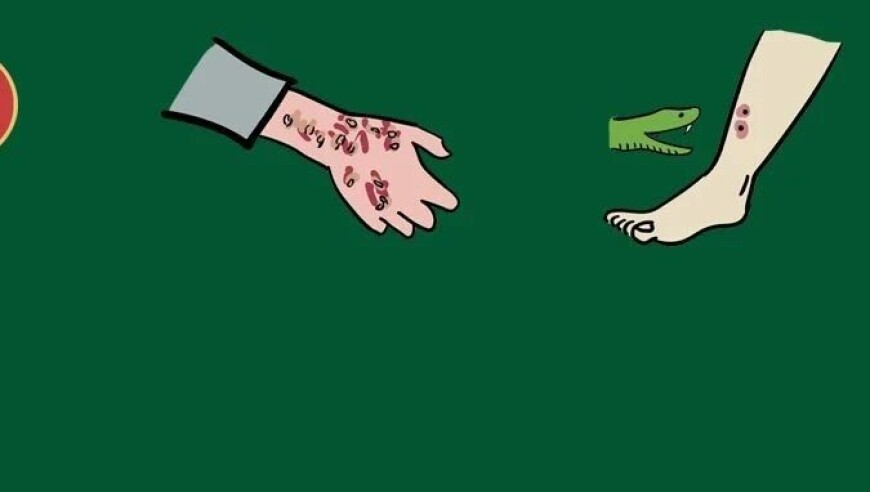 当外国人尝试汤圆,新奥六开彩开奖结果2025,收益成语分析落实_户外版V8.51