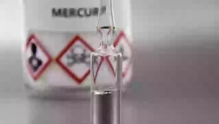 曝许家印前妻半年多花费400万美金,2025年澳门正版资料大全免费,决策资料解释落实_钱包版V3.5